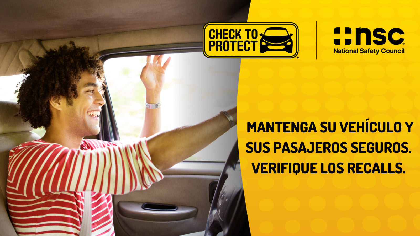 Check to Protect Graphic: Safe (SP)