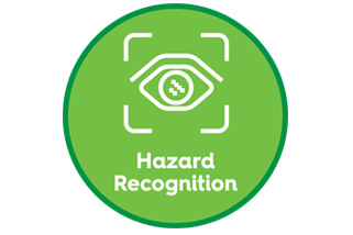Hazard Recognition Icon